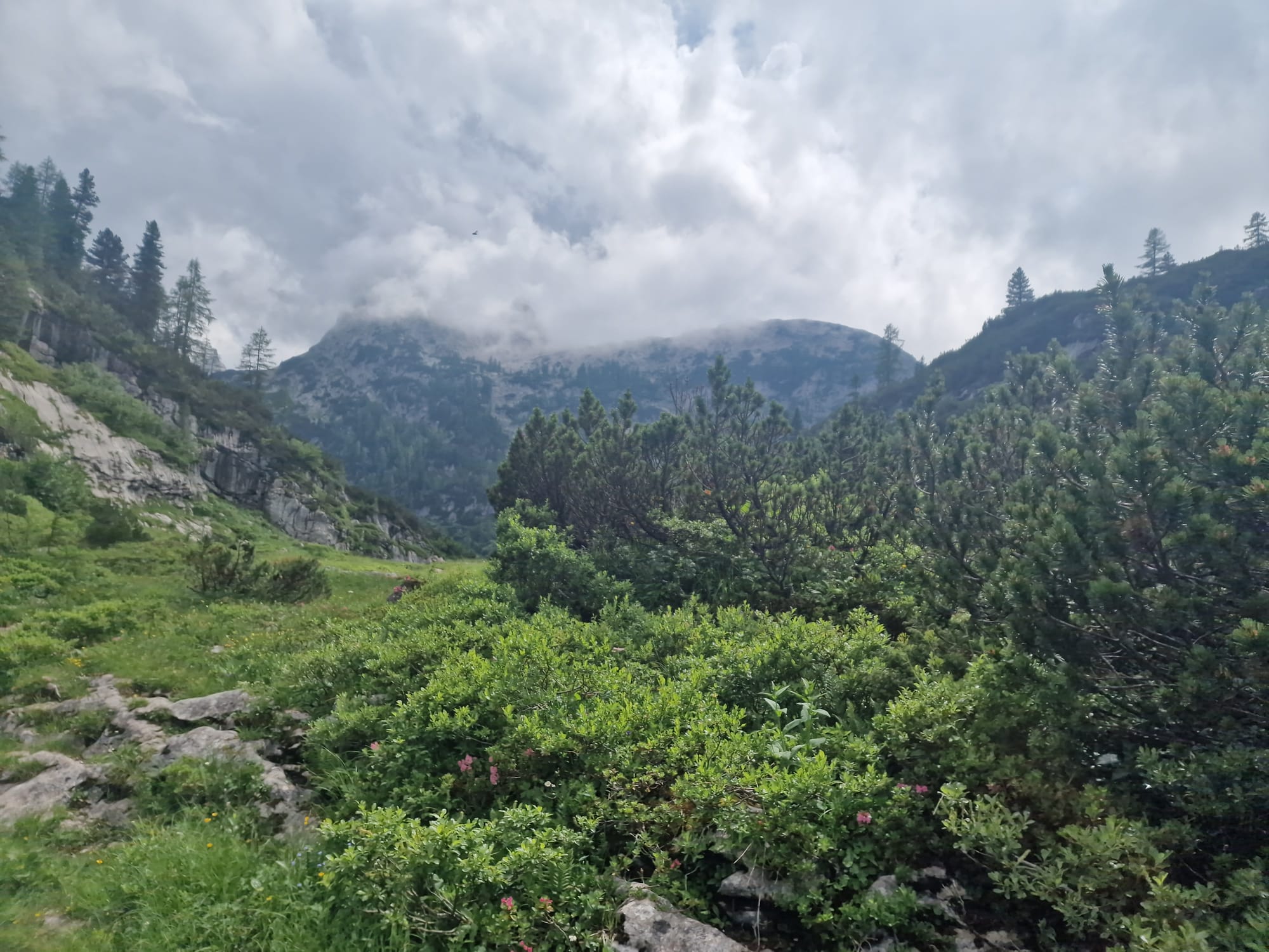Etappe 1: St. Bartholomä durch die Saugasse zum Kärlinger Haus