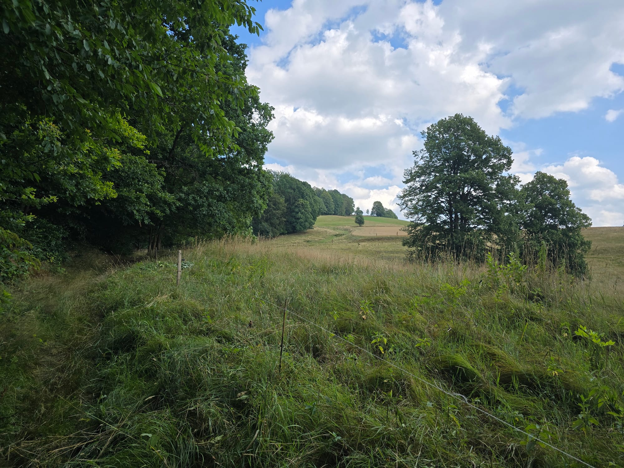 Ottendorf, Tanzplan, Wachberg und zurück