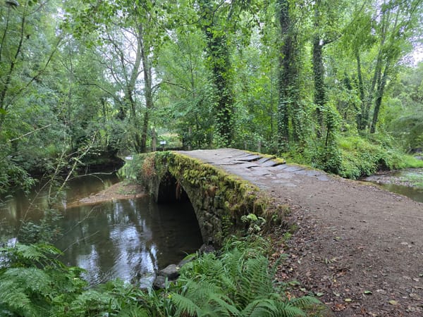 Camino de Portugues, Teil 7 nach O Porriño