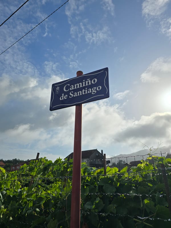 Camino de Portugues, Teil 8 nach Arcade