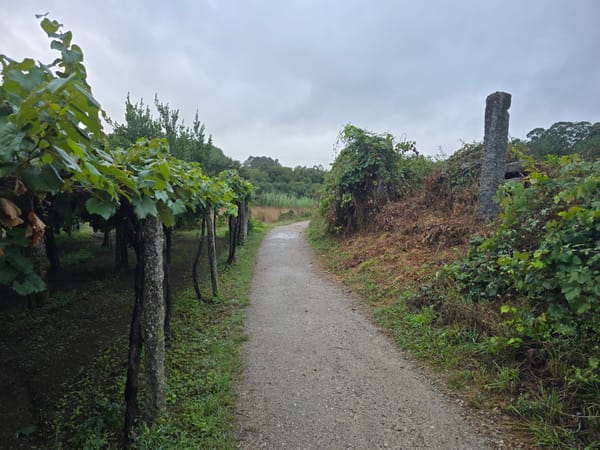 Camino de Portugues, Teil 10 nach O Pino (Valga)