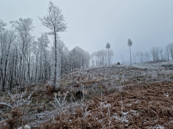 Ottendorf, Wachberg und Tanzplan mit Bismarckturm
