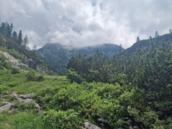 Etappe 1: St. Bartholomä durch die Saugasse zum Kärlinger Haus