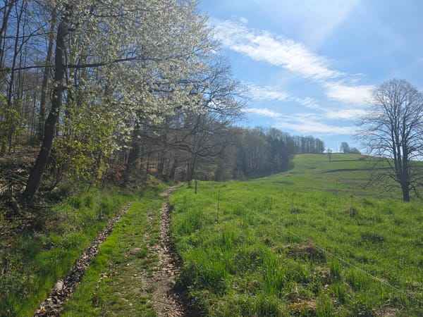 Ottendorf, Wachbergbaude, Weifberg, Lindigtblick, Brüdersteine, Zeughaus und Neumannmühle