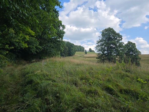 Ottendorf, Tanzplan, Wachberg und zurück